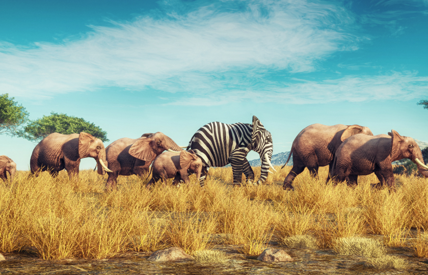 How to understand your market split, and identify ready-to-buy customers.